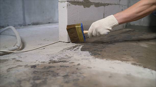SJ Waterproofing Pros Waterproofing coverage map for South Elgin, IL and surrounding area